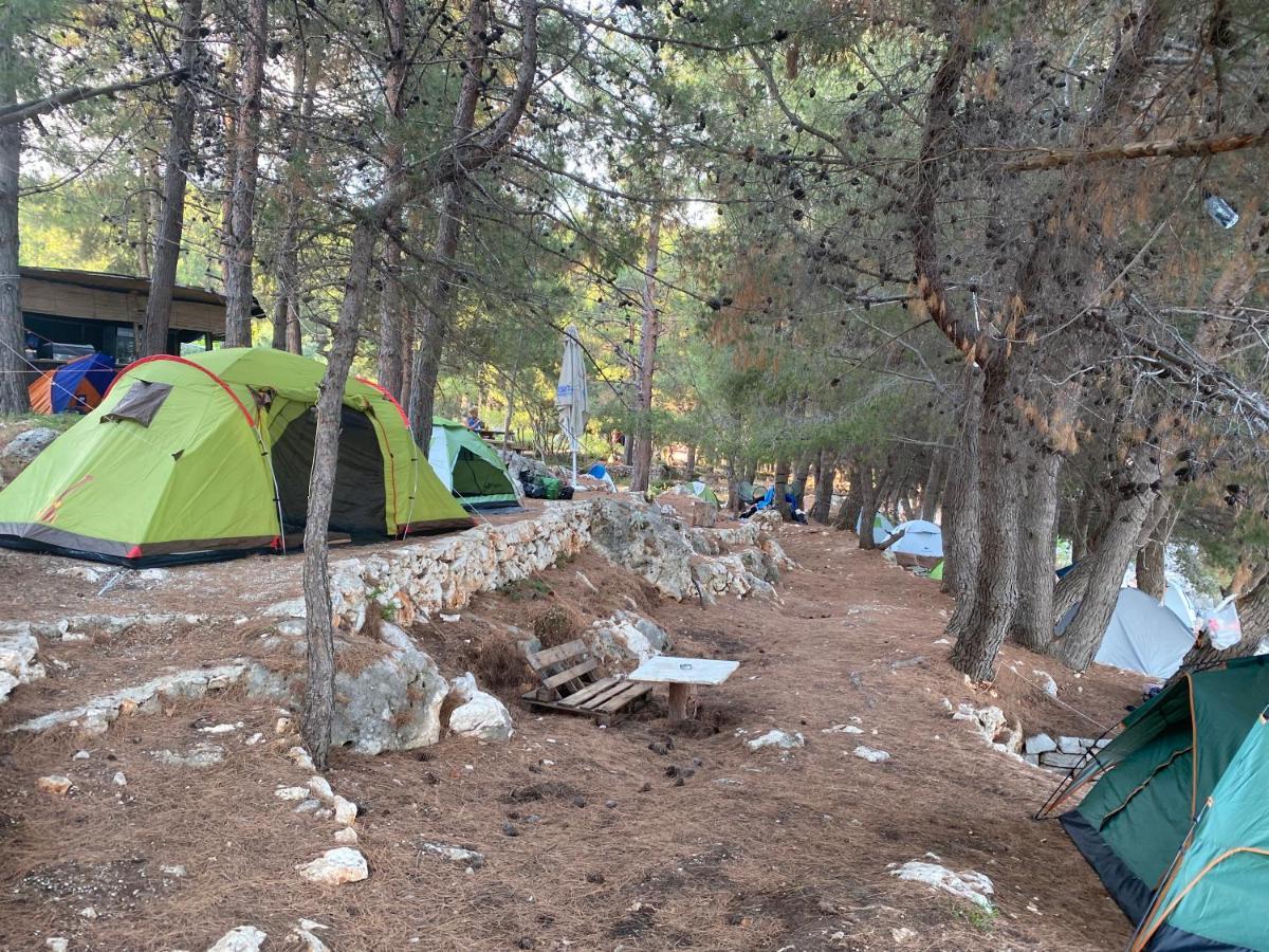 Hotel Pine Side Camp Himare Esterno foto