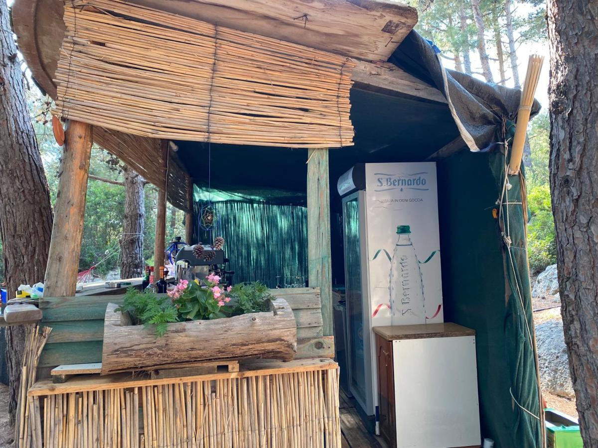 Hotel Pine Side Camp Himare Esterno foto